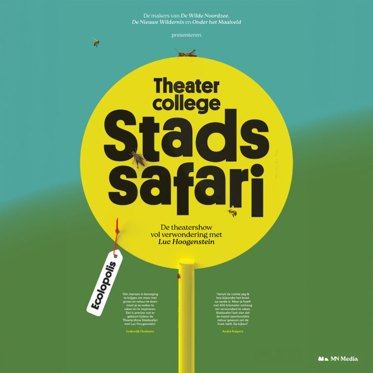 Stadssafari